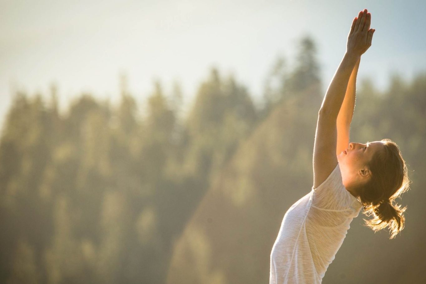 Frau macht Yoga im Freien, umgeben von Bäumen im Sonnenlicht und einer tiefenentspannten Atmosphäre