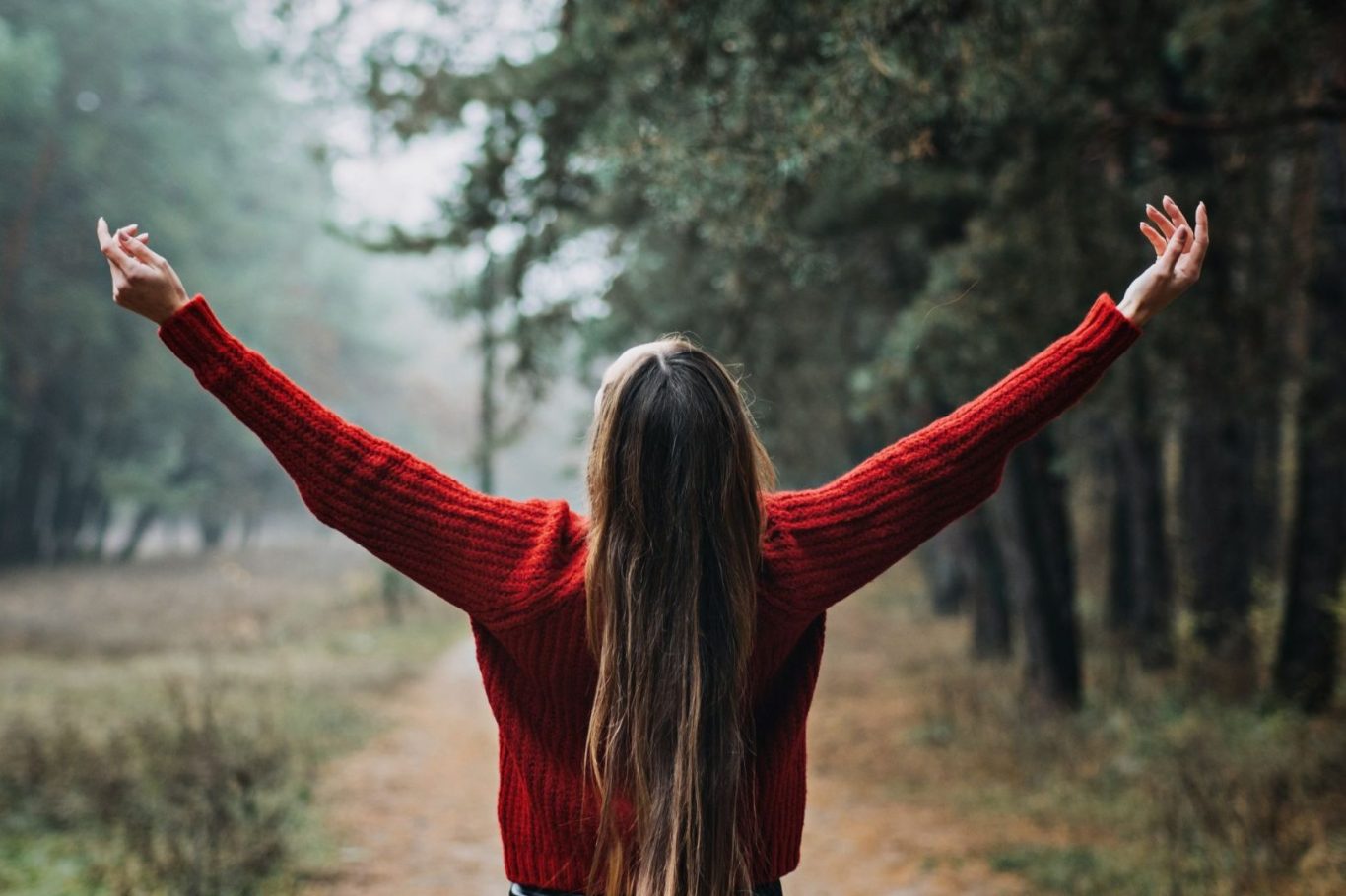 Frau macht Yoga im Freien, umgeben von Bäumen im Sonnenlicht und einer tiefenentspannten Atmosphäre